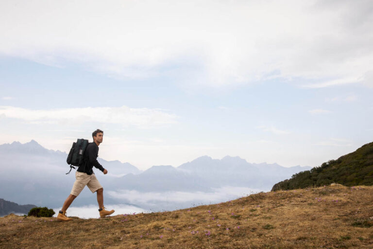 Read more about the article Recent trends in storytelling