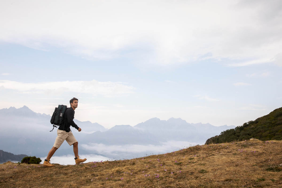 Read more about the article Recent trends in storytelling